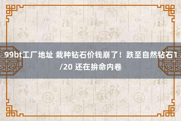 99bt工厂地址 栽种钻石价钱崩了！跌至自然钻石1/20 还在拚命内卷