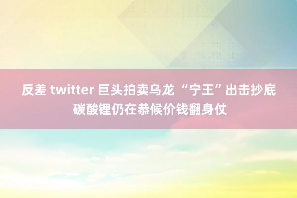 反差 twitter 巨头拍卖乌龙 “宁王”出击抄底 碳酸锂仍在恭候价钱翻身仗