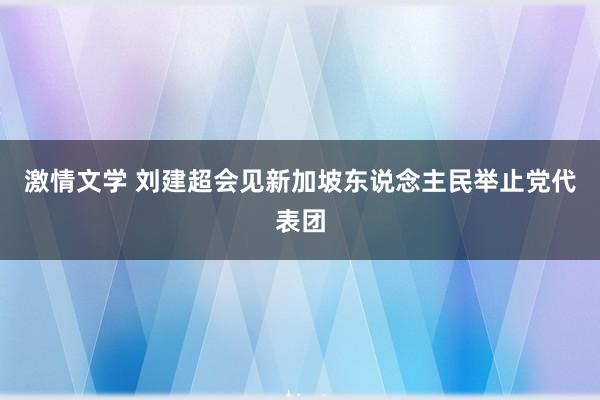 激情文学 刘建超会见新加坡东说念主民举止党代表团