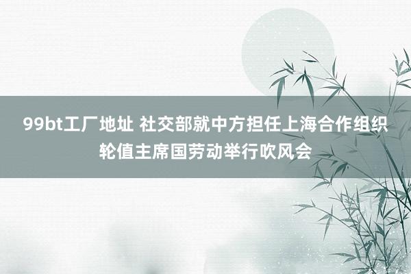 99bt工厂地址 社交部就中方担任上海合作组织轮值主席国劳动举行吹风会