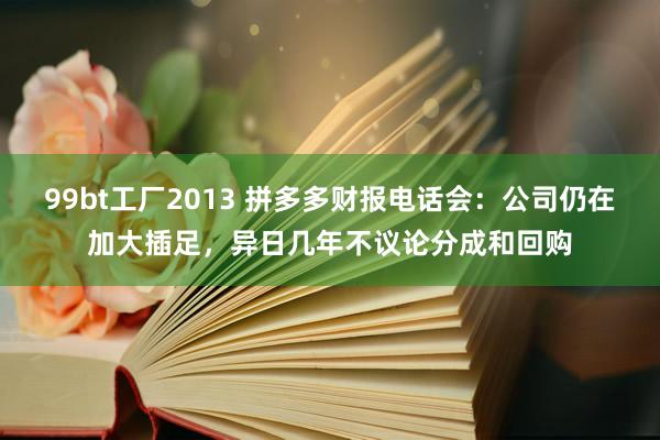 99bt工厂2013 拼多多财报电话会：公司仍在加大插足，异日几年不议论分成和回购