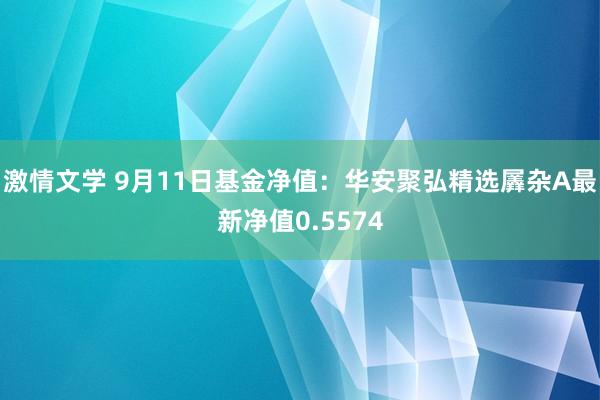 激情文学 9月11日基金净值：华安聚弘精选羼杂A最新净值0.5574