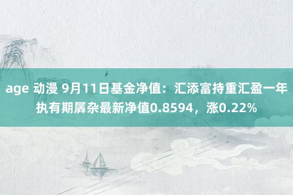 age 动漫 9月11日基金净值：汇添富持重汇盈一年执有期羼杂最新净值0.8594，涨0.22%