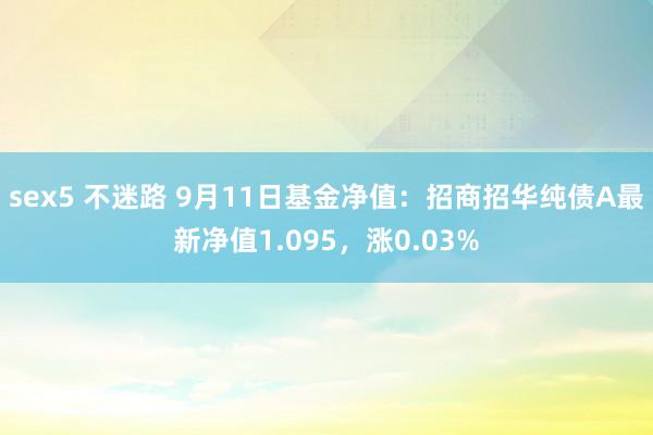 sex5 不迷路 9月11日基金净值：招商招华纯债A最新净值1.095，涨0.03%