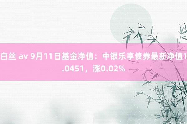 白丝 av 9月11日基金净值：中银乐享债券最新净值1.0451，涨0.02%