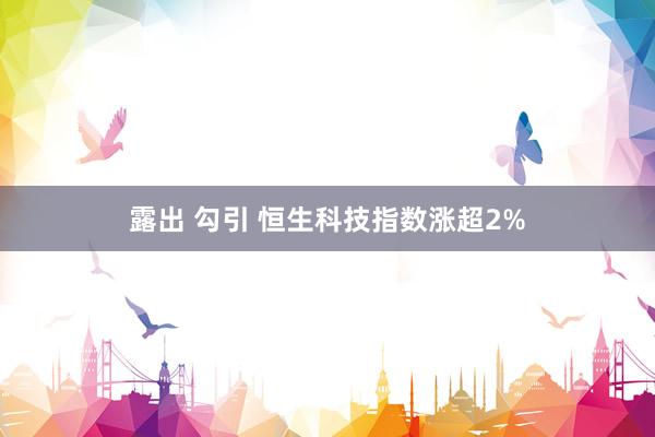 露出 勾引 恒生科技指数涨超2%