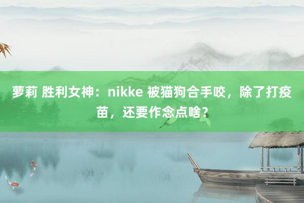 萝莉 胜利女神：nikke 被猫狗合手咬，除了打疫苗，还要作念点啥？