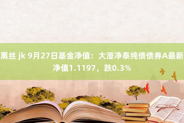 黑丝 jk 9月27日基金净值：大澄净泰纯债债券A最新净值1.1197，跌0.3%