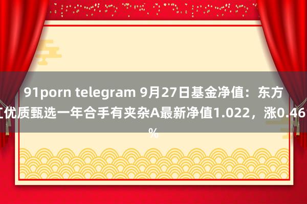 91porn telegram 9月27日基金净值：东方红优质甄选一年合手有夹杂A最新净值1.022，涨0.46%