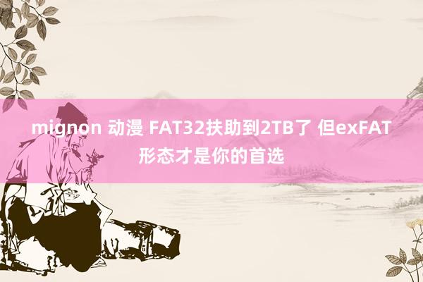 mignon 动漫 FAT32扶助到2TB了 但exFAT形态才是你的首选