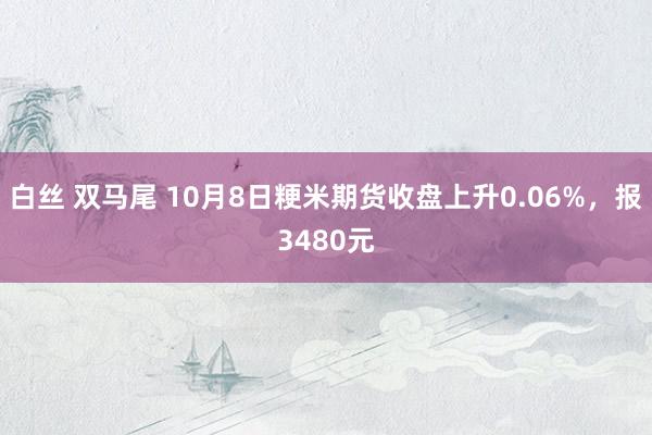 白丝 双马尾 10月8日粳米期货收盘上升0.06%，报3480元