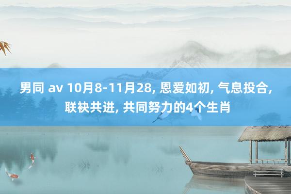 男同 av 10月8-11月28， 恩爱如初， 气息投合， 联袂共进， 共同努力的4个生肖