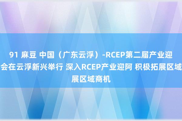 91 麻豆 中国（广东云浮）-RCEP第二届产业迎阿大会在云浮新兴举行 深入RCEP产业迎阿 积极拓展区域商机