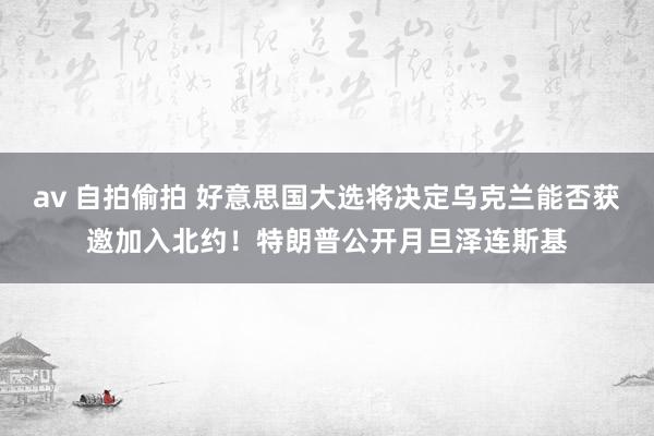 av 自拍偷拍 好意思国大选将决定乌克兰能否获邀加入北约！特朗普公开月旦泽连斯基