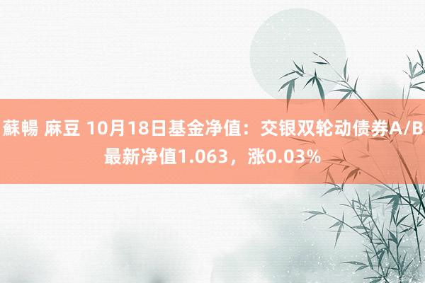 蘇暢 麻豆 10月18日基金净值：交银双轮动债券A/B最新净值1.063，涨0.03%