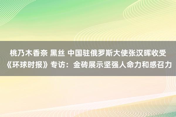 桃乃木香奈 黑丝 中国驻俄罗斯大使张汉晖收受《环球时报》专访：金砖展示坚强人命力和感召力