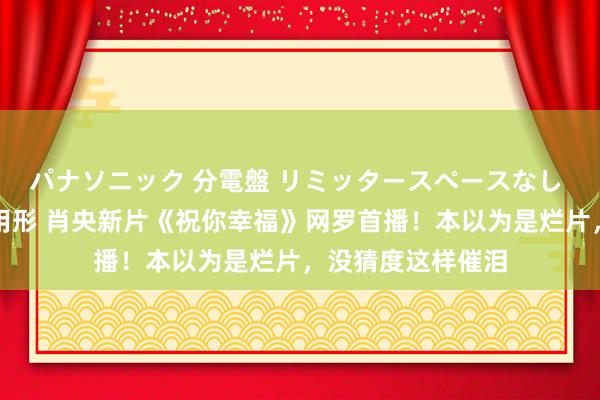 パナソニック 分電盤 リミッタースペースなし 露出・半埋込両用形 肖央新片《祝你幸福》网罗首播！本以为是烂片，没猜度这样催泪