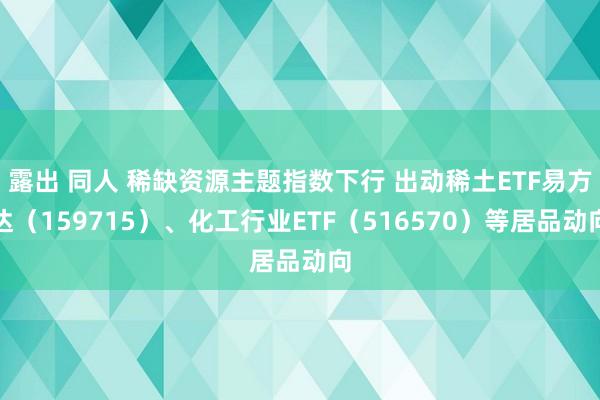 露出 同人 稀缺资源主题指数下行 出动稀土ETF易方达（159715）、化工行业ETF（516570）等居品动向