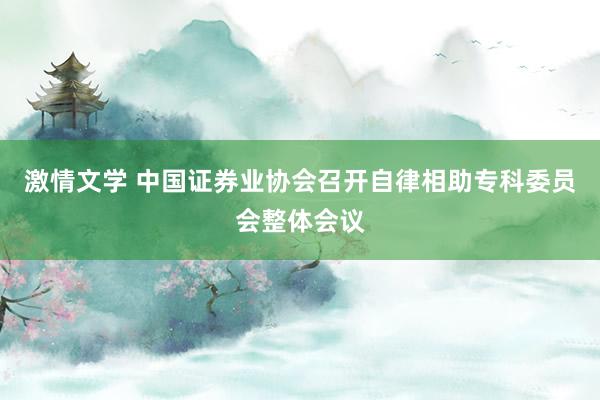 激情文学 中国证券业协会召开自律相助专科委员会整体会议