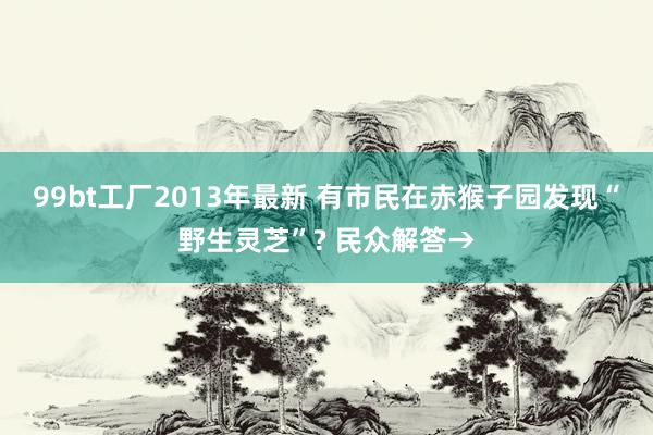 99bt工厂2013年最新 有市民在赤猴子园发现“野生灵芝”? 民众解答→