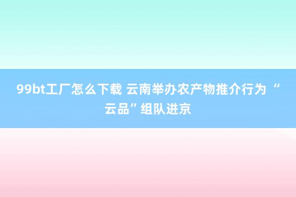 99bt工厂怎么下载 云南举办农产物推介行为 “云品”组队进京