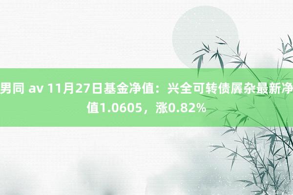 男同 av 11月27日基金净值：兴全可转债羼杂最新净值1.0605，涨0.82%