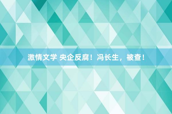 激情文学 央企反腐！冯长生，被查！