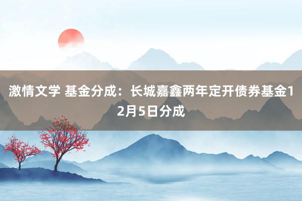 激情文学 基金分成：长城嘉鑫两年定开债券基金12月5日分成