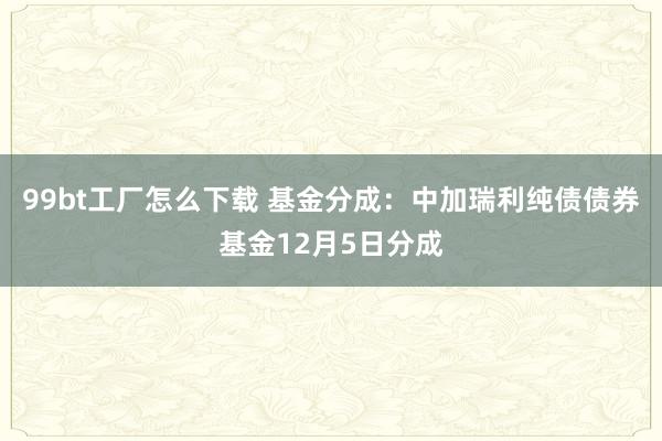 99bt工厂怎么下载 基金分成：中加瑞利纯债债券基金12月5日分成