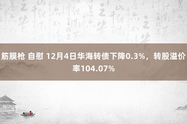 筋膜枪 自慰 12月4日华海转债下降0.3%，转股溢价率104.07%