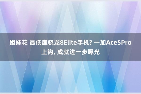 姐妹花 最低廉骁龙8Elite手机? 一加Ace5Pro上钩， 成就进一步曝光