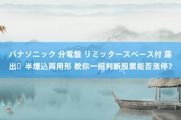 パナソニック 分電盤 リミッタースペース付 露出・半埋込両用形 教你一招判断股票能否涨停？