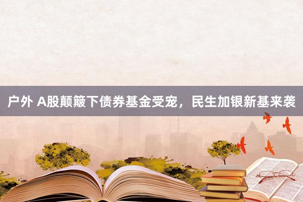 户外 A股颠簸下债券基金受宠，民生加银新基来袭