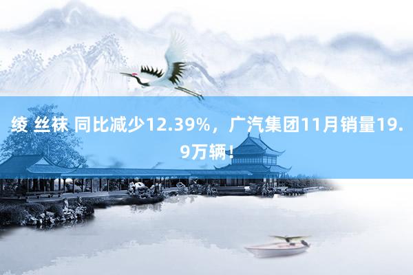 绫 丝袜 同比减少12.39%，广汽集团11月销量19.9万辆！