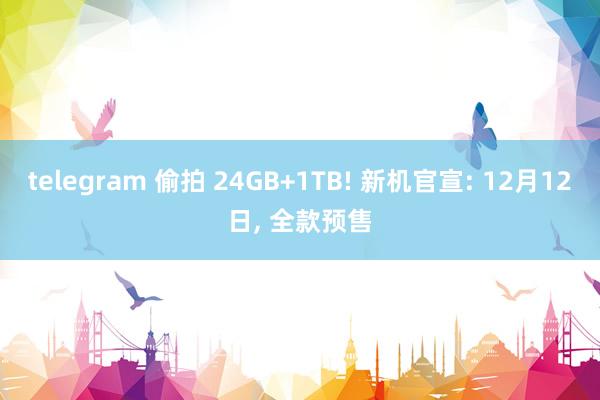 telegram 偷拍 24GB+1TB! 新机官宣: 12月12日， 全款预售