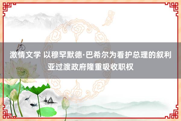 激情文学 以穆罕默德·巴希尔为看护总理的叙利亚过渡政府隆重吸收职权