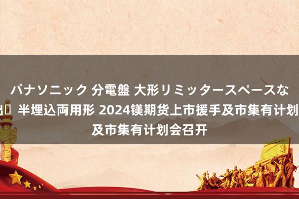 パナソニック 分電盤 大形リミッタースペースなし 露出・半埋込両用形 2024镁期货上市援手及市集有计划会召开