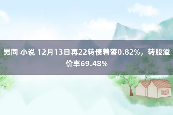 男同 小说 12月13日再22转债着落0.82%，转股溢价率69.48%