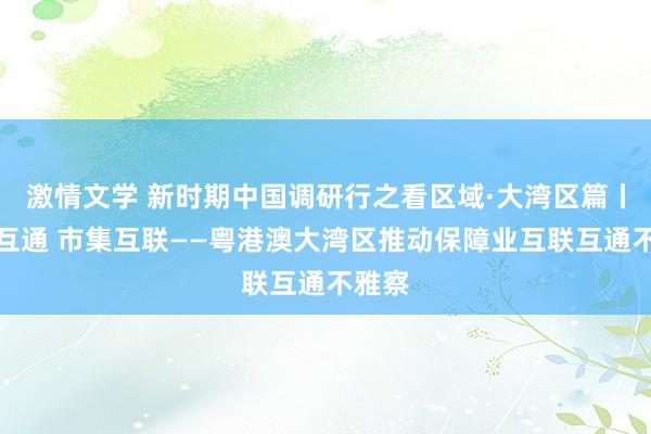 激情文学 新时期中国调研行之看区域·大湾区篇丨资金互通 市集互联——粤港澳大湾区推动保障业互联互通不雅察