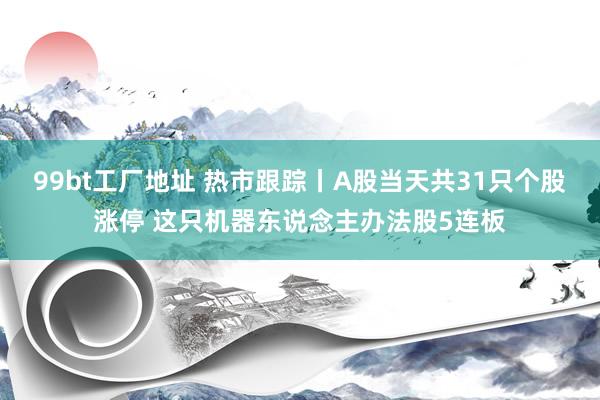 99bt工厂地址 热市跟踪丨A股当天共31只个股涨停 这只机器东说念主办法股5连板