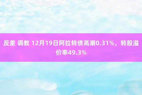 反差 调教 12月19日阿拉转债高潮0.31%，转股溢价率49.3%