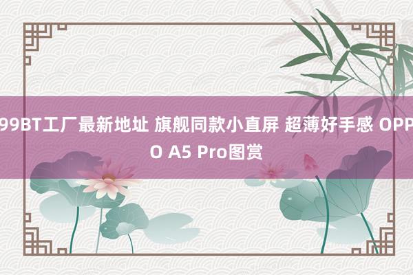 99BT工厂最新地址 旗舰同款小直屏 超薄好手感 OPPO A5 Pro图赏