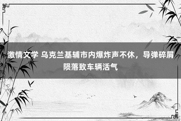 激情文学 乌克兰基辅市内爆炸声不休，导弹碎屑陨落致车辆活气