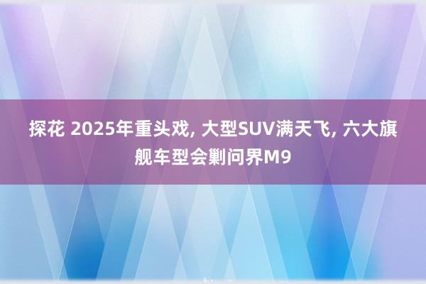 探花 2025年重头戏， 大型SUV满天飞， 六大旗舰车型会剿问界M9