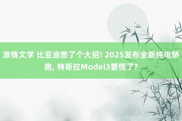 激情文学 比亚迪憋了个大招! 2025发布全新纯电轿跑， 特斯拉Model3要慌了?