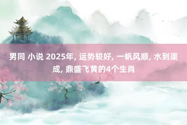 男同 小说 2025年， 运势较好， 一帆风顺， 水到渠成， 鼎盛飞黄的4个生肖