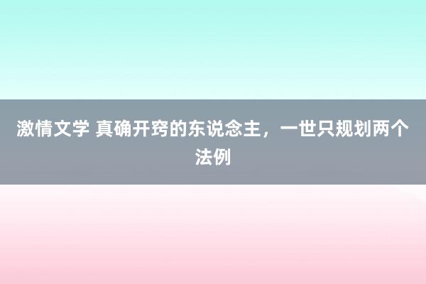 激情文学 真确开窍的东说念主，一世只规划两个法例