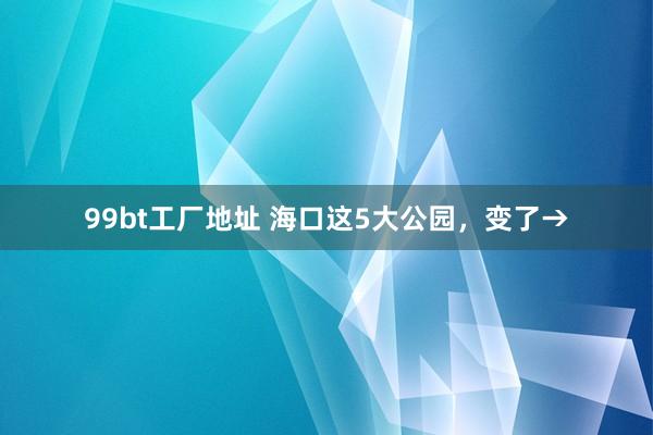 99bt工厂地址 海口这5大公园，变了→