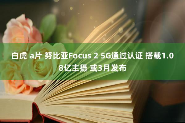 白虎 a片 努比亚Focus 2 5G通过认证 搭载1.08亿主摄 或3月发布