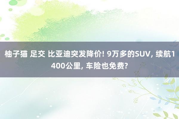 柚子猫 足交 比亚迪突发降价! 9万多的SUV， 续航1400公里， 车险也免费?